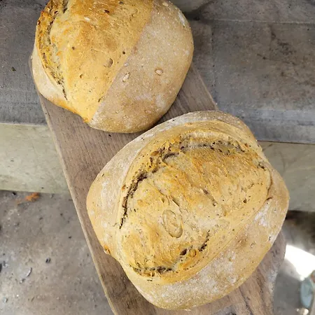 Dom wakacyjny Maison 1810 - Slow Tourism *