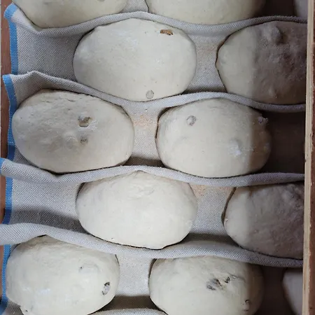 Dom wakacyjny Maison 1810 - Slow Tourism Fosseux